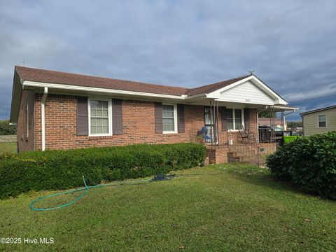 Photo of 38827 Nc 903, Scotland Neck, NC 27874 (MLS # 100536393)
