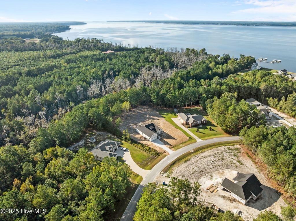 Photo of 467 Eagle Trace Drive, Blounts Creek, NC 27814 (MLS # 100515960)