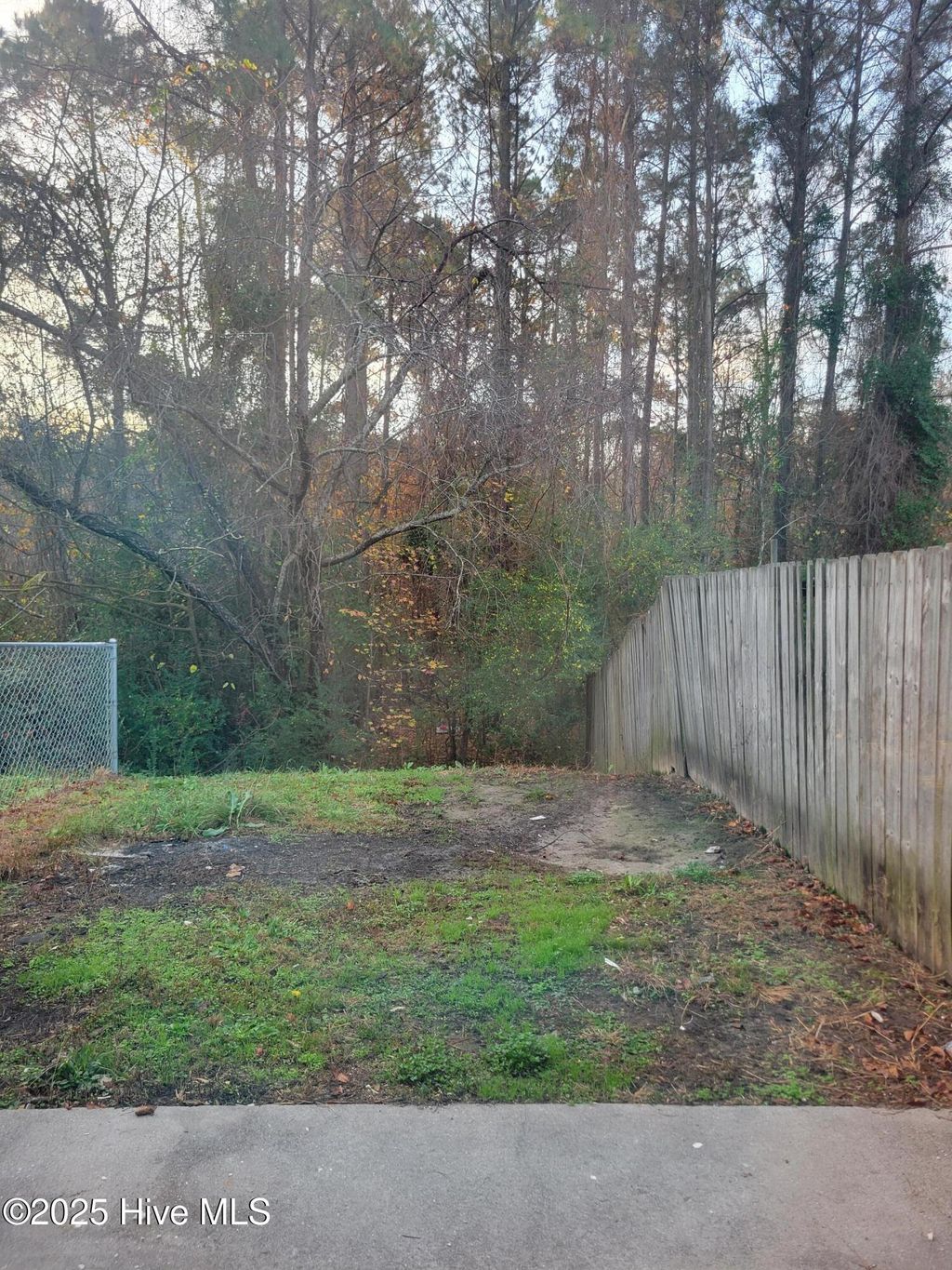 Photo of 1994 W Brandymill Lane, Jacksonville, NC 28546 (MLS # 100543083)