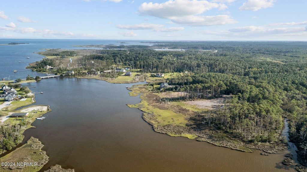 Photo of 280 Donnie Davis Road, Williston, NC 28589 (MLS # 100463388)