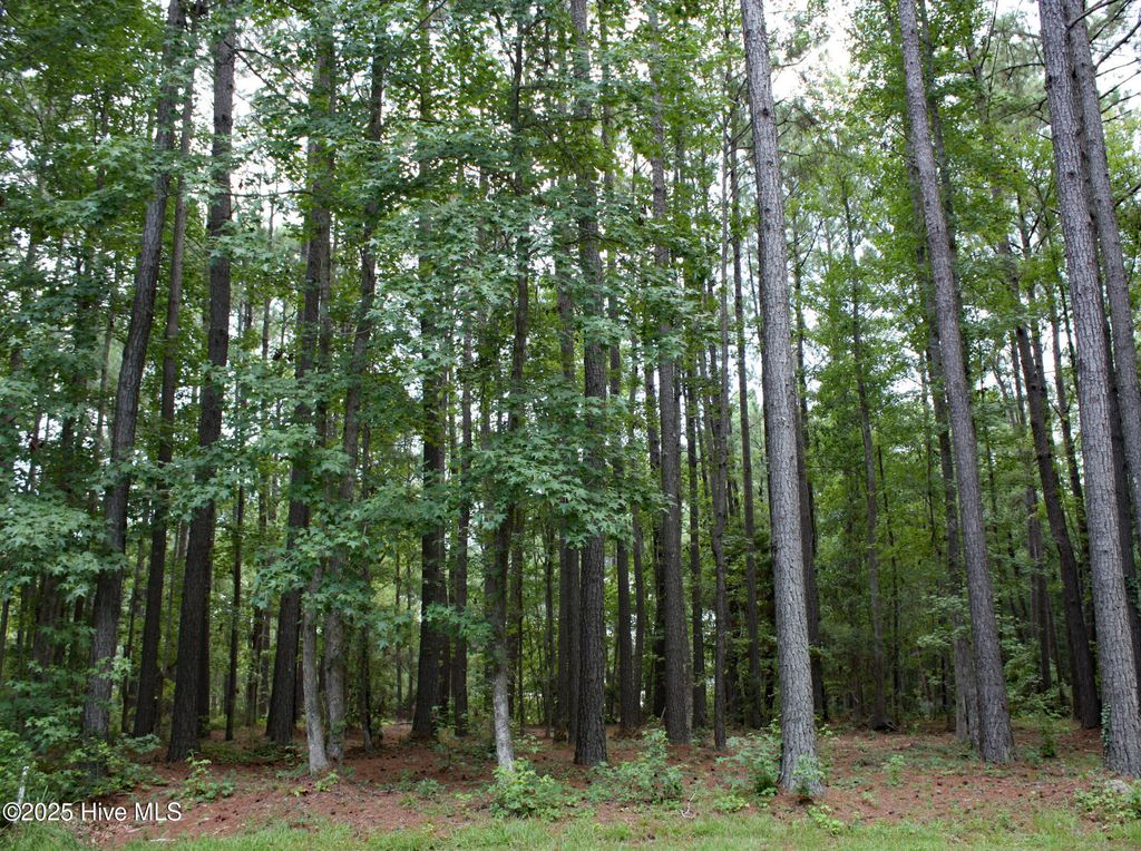 Photo of 6780 Hanbury Place SW, Ocean Isle Beach, NC 28469 (MLS # 100522042)