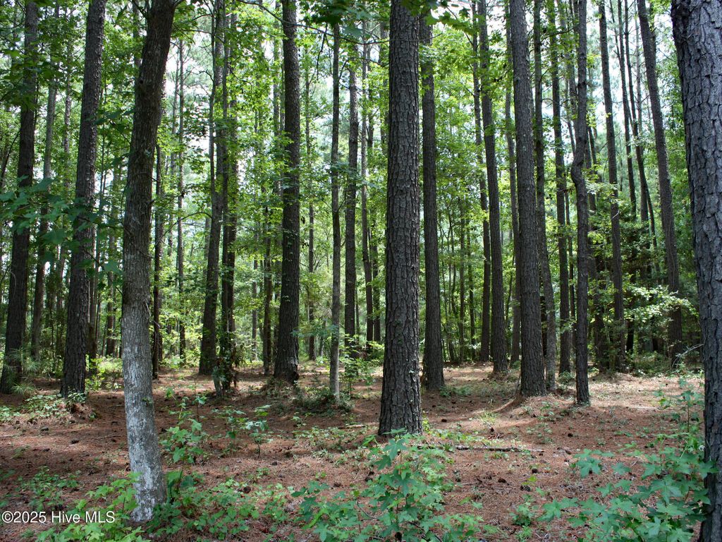 Photo of 6780 Hanbury Place SW, Ocean Isle Beach, NC 28469 (MLS # 100522042)