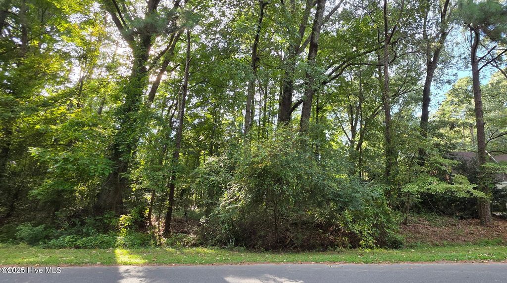 Photo of 0 Niblick Road, Grifton, NC 28530 (MLS # 100530212)