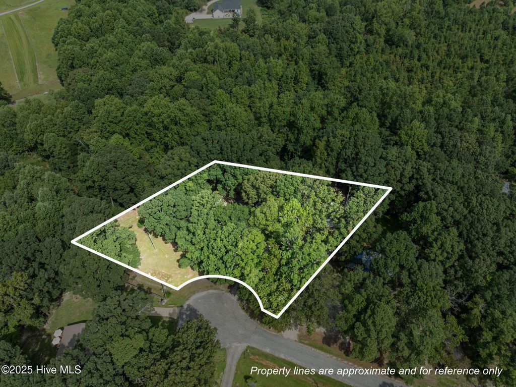 Photo of 254 Warwick Drive, Pinetops, NC 27864 (MLS # 100528437)