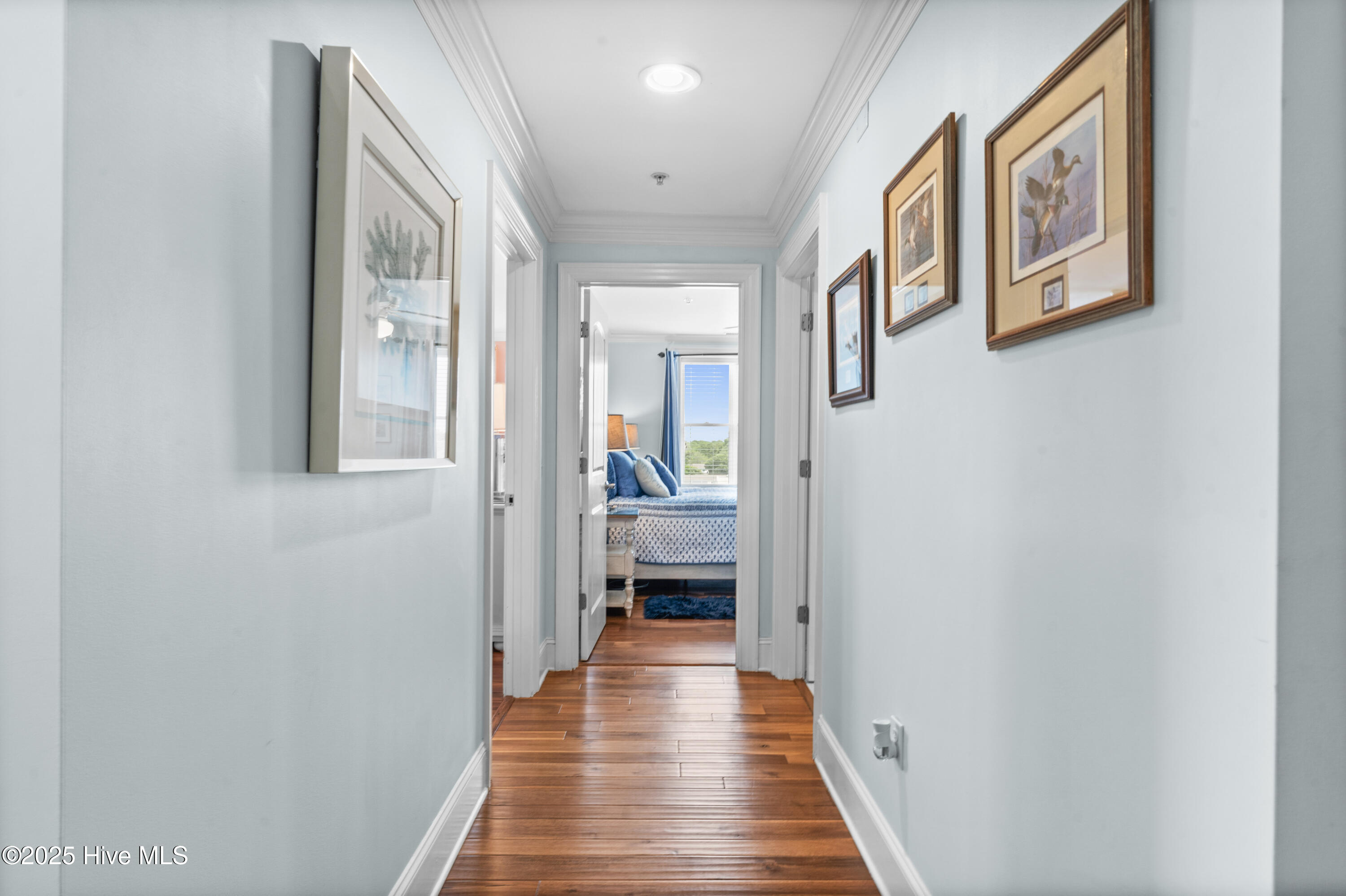 4425 Arendell Street 609