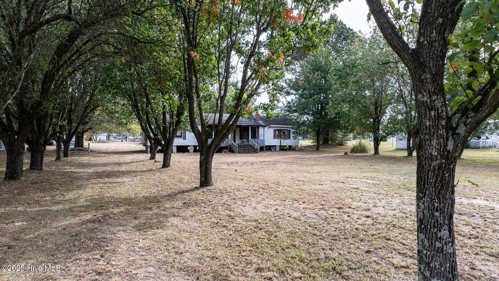 Photo of 3512 Watson Seed Farm Road, Whitakers, NC 27891 (MLS # 100535691)