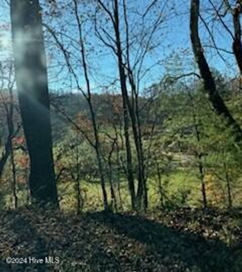 A home in Spruce Pine