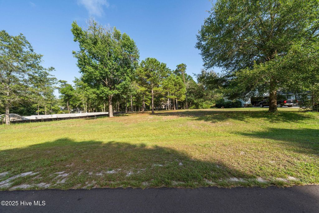 Photo of 1852 Healing Water Lane SW, Supply, NC 28462 (MLS # 100518785)