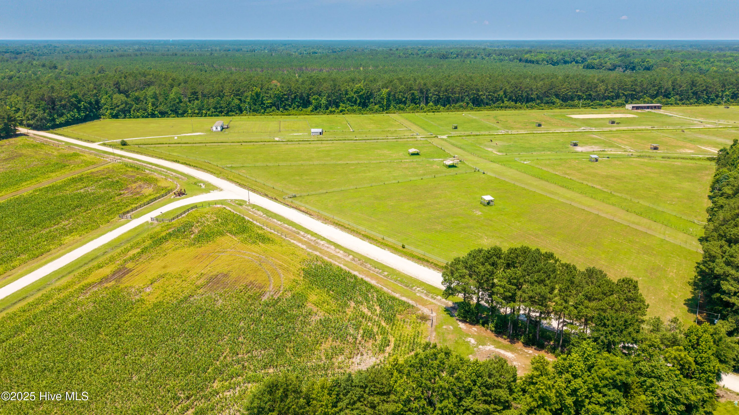 Burgaw, North Carolina 28425, United States, 3 Bedrooms Bedrooms, ,2 BathroomsBathrooms,Residential,Active,163800