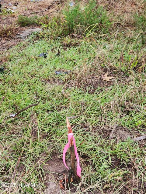 Tiny photo for 210 Hwy, Currie, NC 28435 (MLS # 100535116)