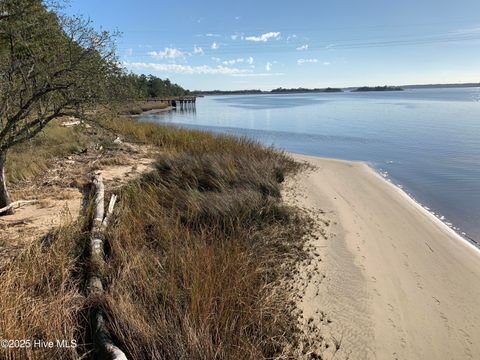 Tiny photo for 160 Dugger Lane, Wilmington, NC 28412 (MLS # 100532563)