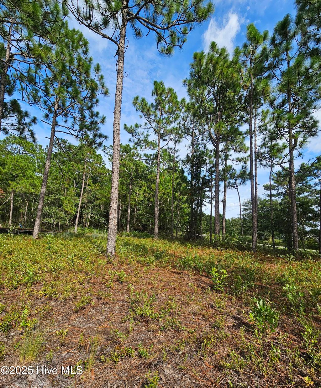 Photo of 0000 Hines Stump Sound Church Road, Holly Ridge, NC 28445 (MLS # 100523111)