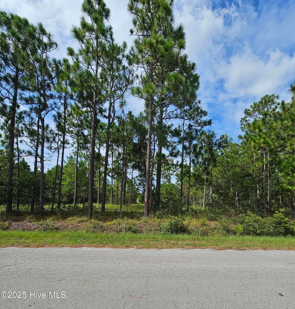 Photo of 0000 Hines Stump Sound Church Road, Holly Ridge, NC 28445 (MLS # 100523111)