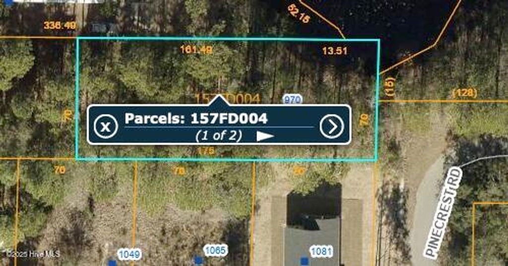 Photo of 970 Pinecrest Road, Boiling Spring Lakes, NC 28461 (MLS # 100540853)