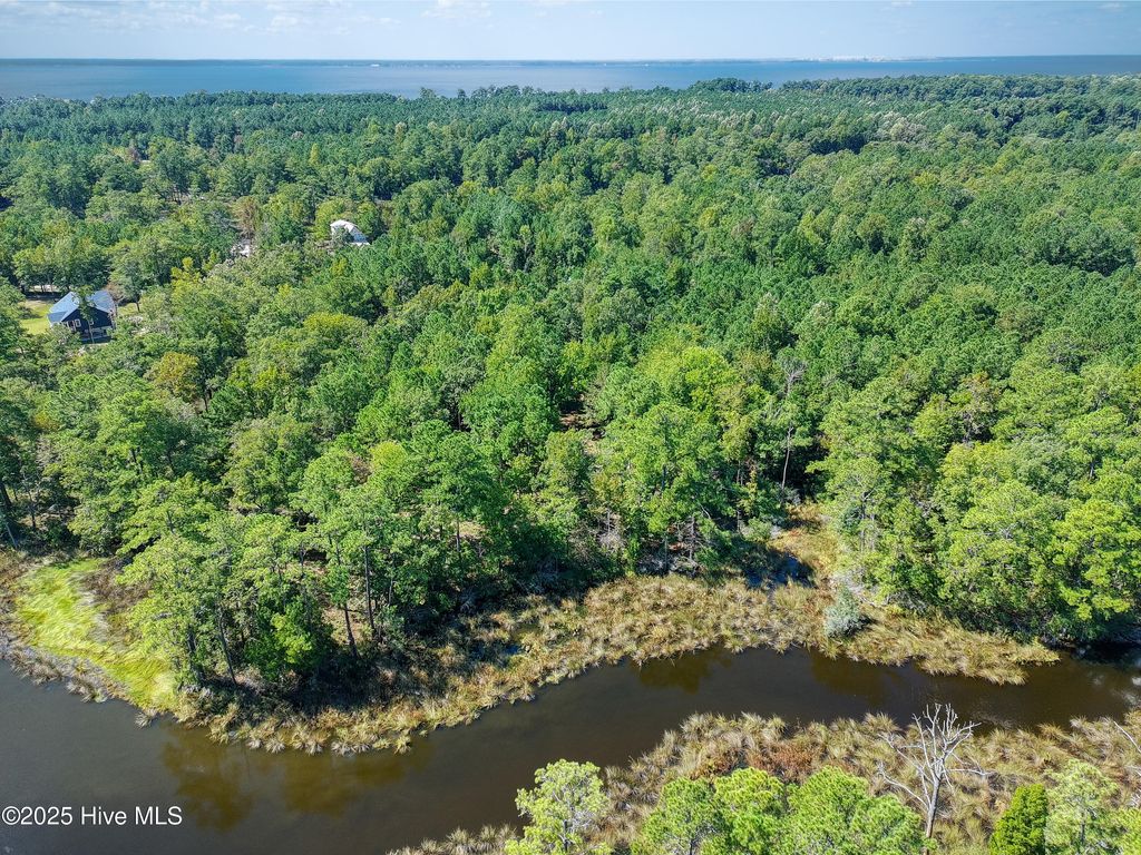Photo of 67 Tarpon Pointe Road, Bath, NC 27808 (MLS # 100528710)