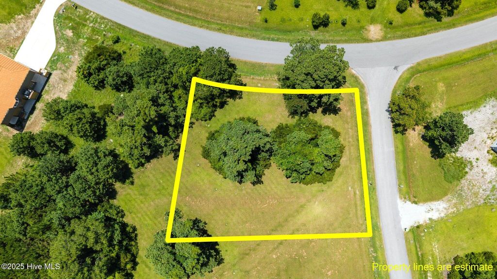 Photo of 6000 Dolphin Road, Oriental, NC 28571 (MLS # 100519532)