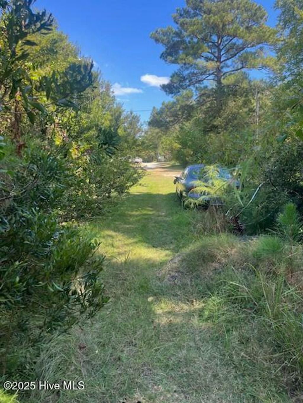 Photo of 2939 Aster Ln Ln SW, Supply, NC 28462 (MLS # 100532534)