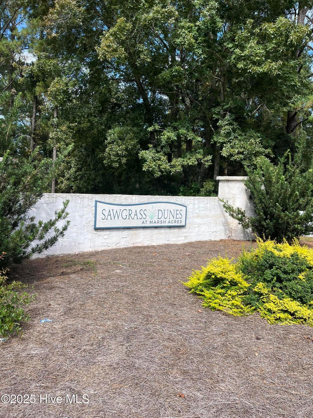 Photo of 2939 Aster Ln Ln SW, Supply, NC 28462 (MLS # 100532534)