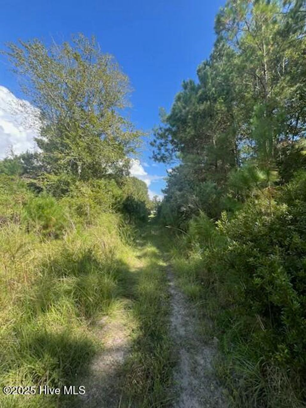 Photo of 2939 Aster Ln Ln SW, Supply, NC 28462 (MLS # 100532534)