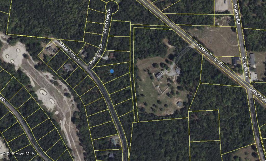 Photo of 446 Thimbleberry Drive, Vass, NC 28394 (MLS # 100484921)