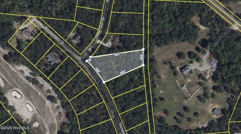 Photo of 446 Thimbleberry Drive, Vass, NC 28394 (MLS # 100484921)
