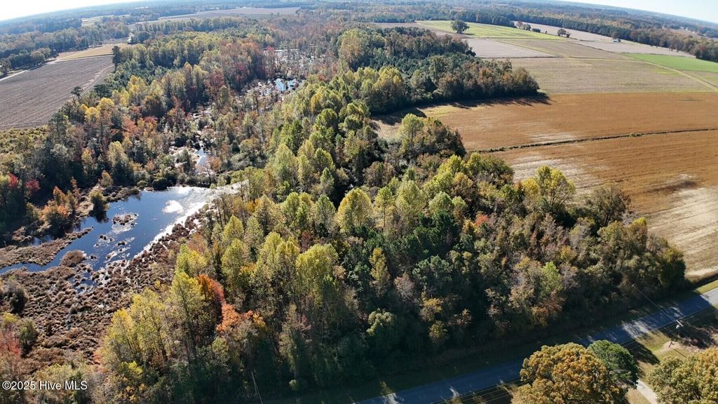 Photo of 294 James Price Road, Seven Springs, NC 28578 (MLS # 100542808)