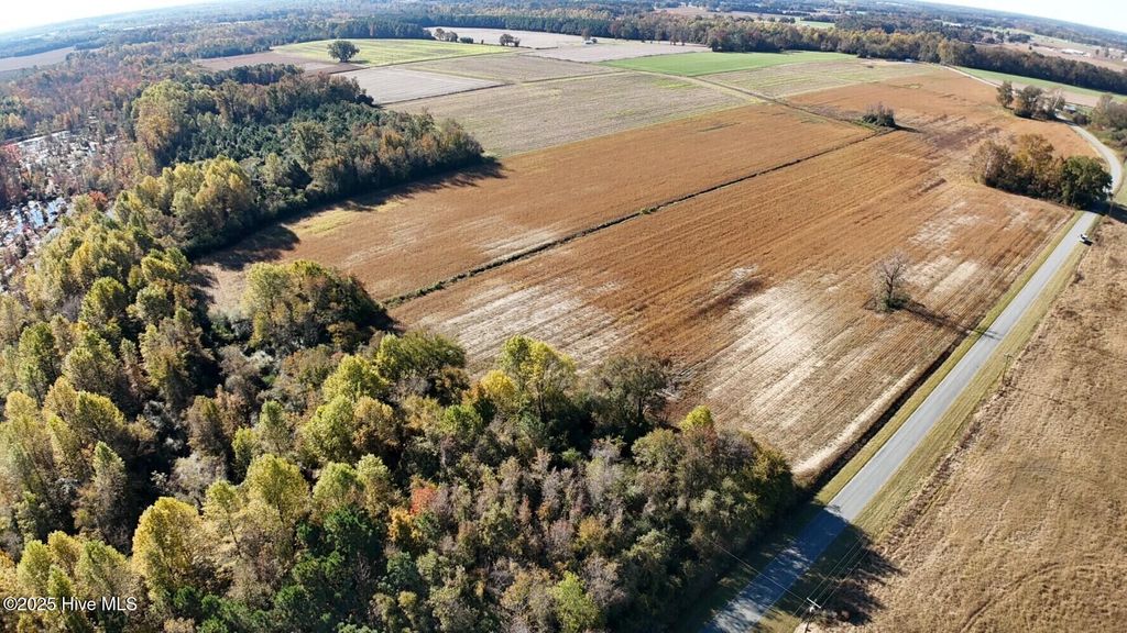 Photo of 294 James Price Road, Seven Springs, NC 28578 (MLS # 100542808)