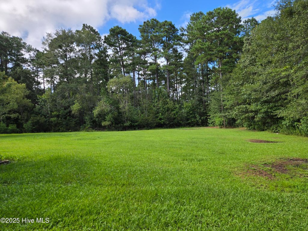 Photo of 288 Lanier Avenue, Rocky Point, NC 28457 (MLS # 100523808)