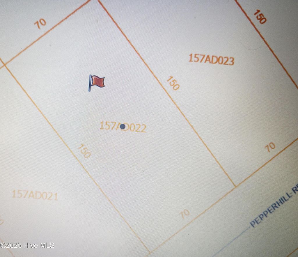 Photo of 208 Pepperhill Road, Boiling Spring Lakes, NC 28461 (MLS # 100501875)