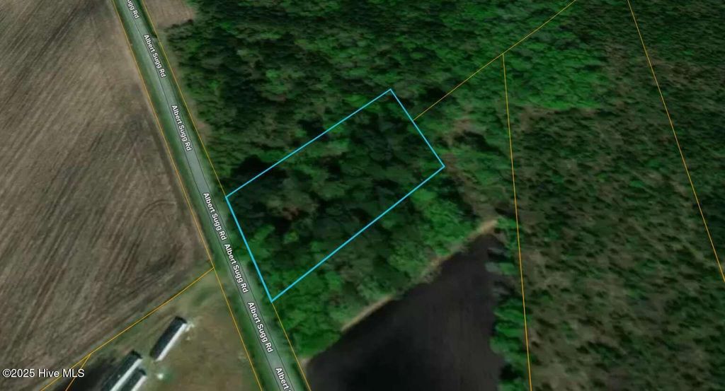 Photo of 0 Albert Sugg Road, La Grange, NC 28551 (MLS # 100542612)