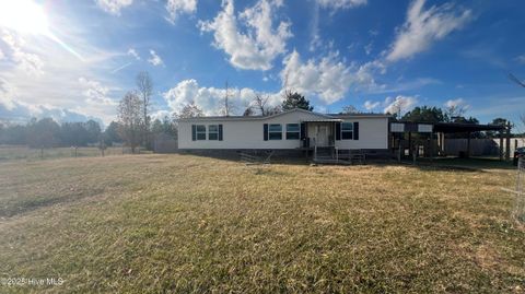 Photo of 204 Mewborn Drive, Beulaville, NC 28518 (MLS # 100543272)