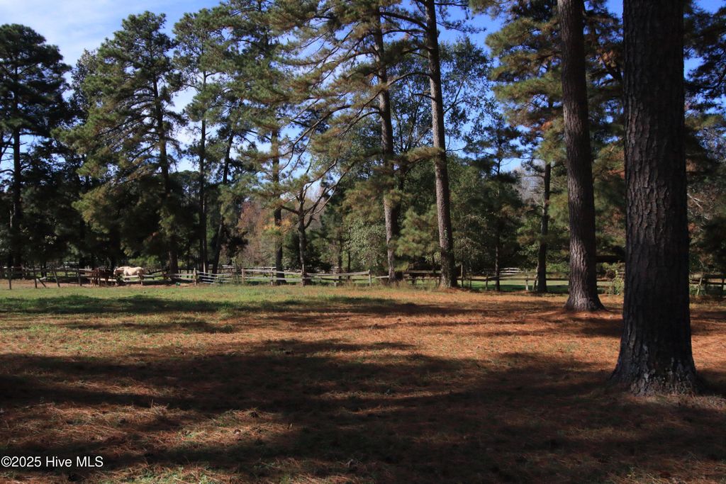 Photo of 0 Cedar Lane Road, Sanford, NC 27332 (MLS # 100537646)
