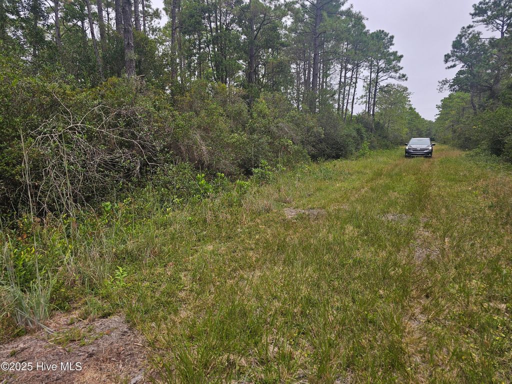 Photo of 129 5th Road, Boiling Spring Lakes, NC 28461 (MLS # 100533762)