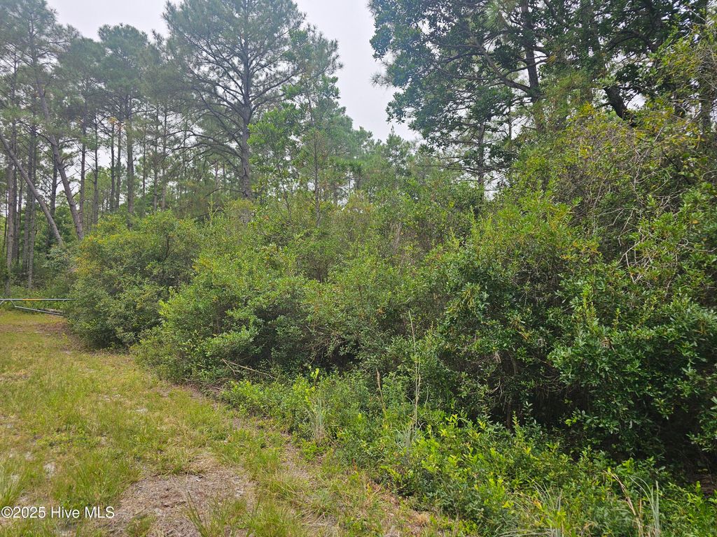 Photo of 129 5th Road, Boiling Spring Lakes, NC 28461 (MLS # 100533762)