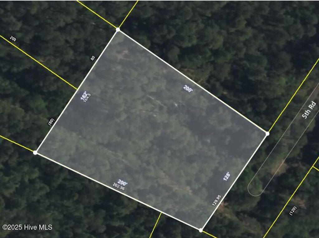 Photo of 129 5th Road, Boiling Spring Lakes, NC 28461 (MLS # 100533762)