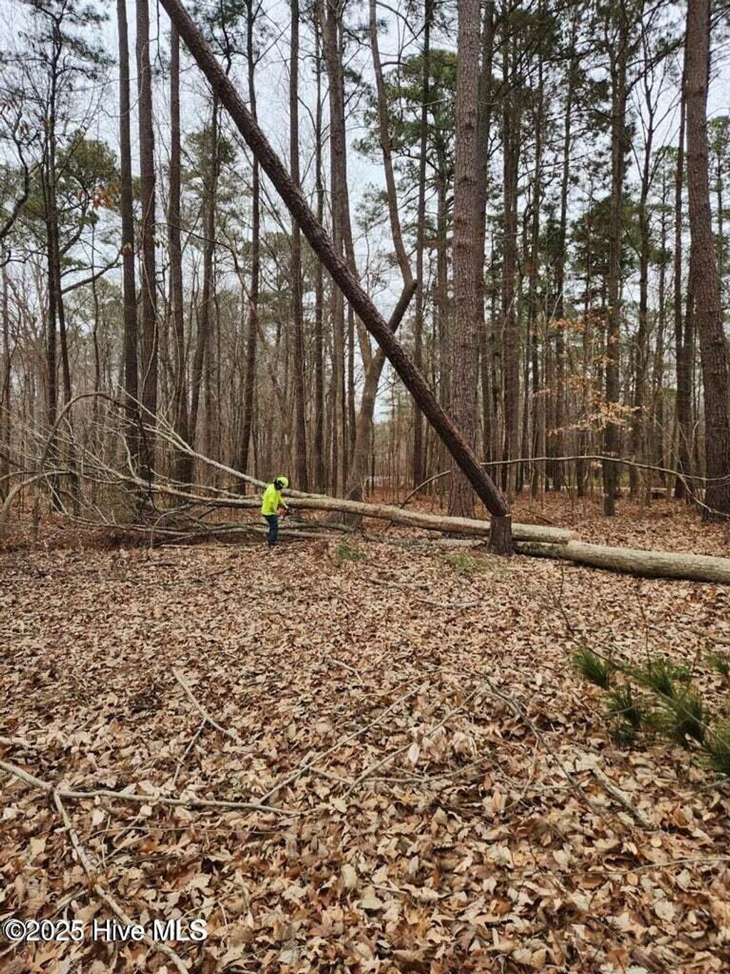 Photo of 146 Tranquility Lane, Hertford, NC 27944 (MLS # 100543590)