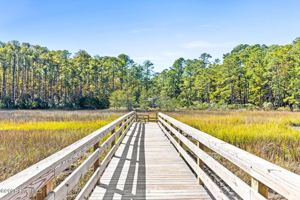 Photo of 7237 Winding Marsh Court, Wilmington, NC 28411 (MLS # 100540030)