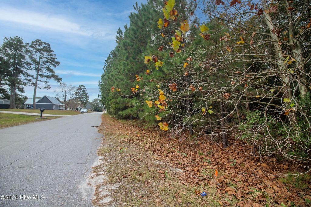 Photo of 861 Roberts Road, Newport, NC 28570 (MLS # 100476978)