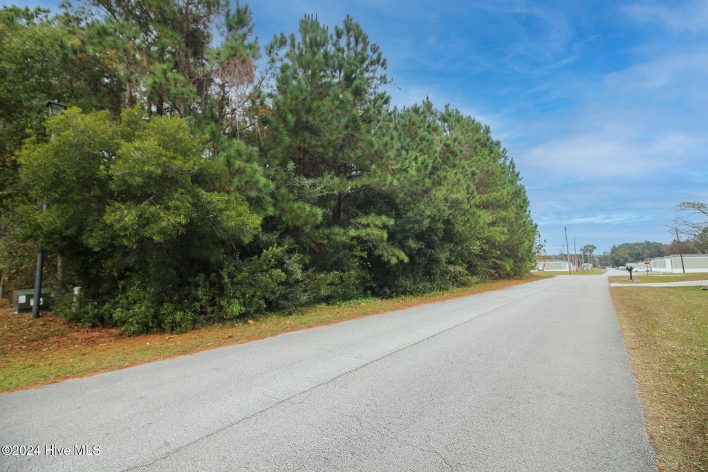 Photo of 861 Roberts Road, Newport, NC 28570 (MLS # 100476978)