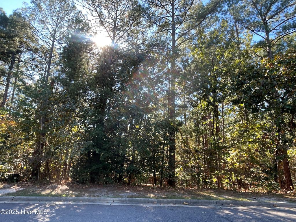 Photo of 69 Chestertown Drive, Pinehurst, NC 28374 (MLS # 100539368)