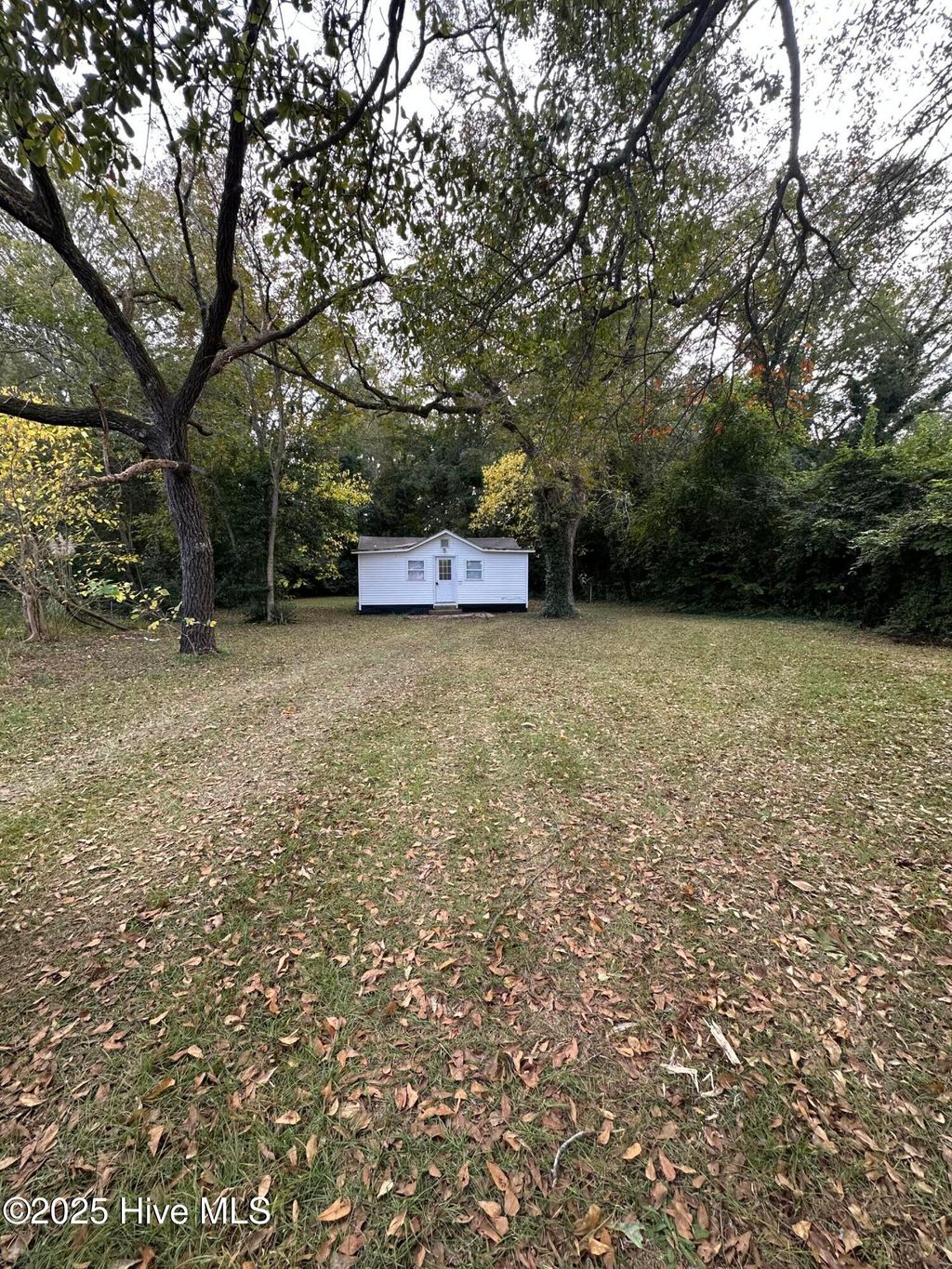 Photo of 411 Mckay Street, Laurinburg, NC 28352 (MLS # 100538077)