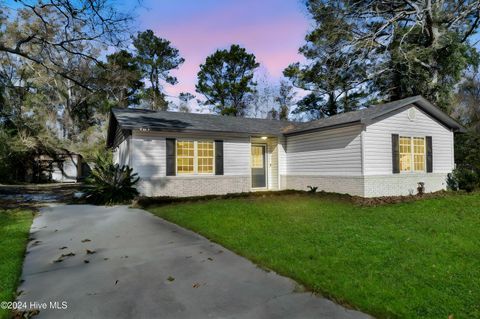 A home in Castle Hayne