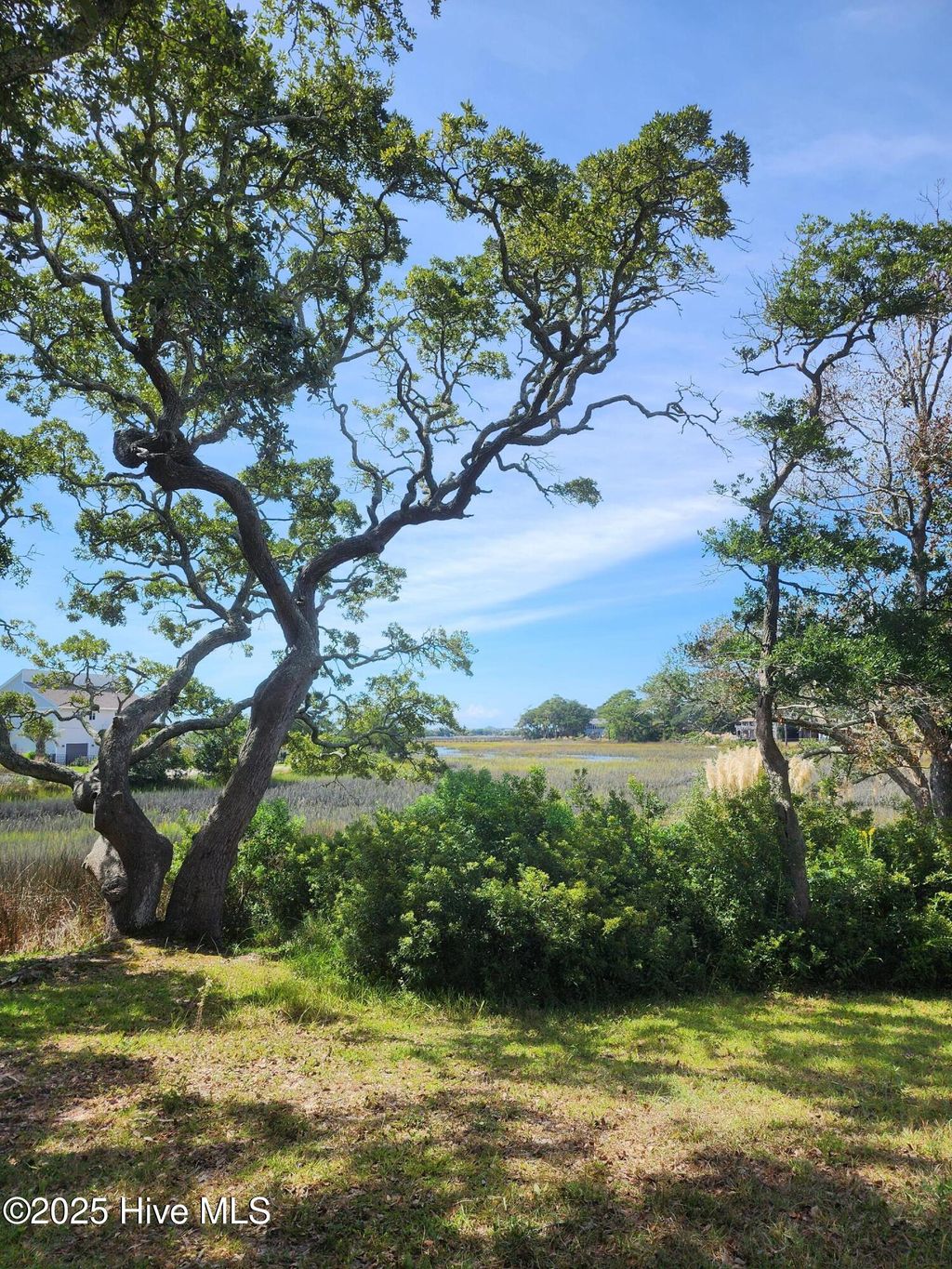 Photo of 1913 Waterway Street SW, Supply, NC 28462 (MLS # 100541532)