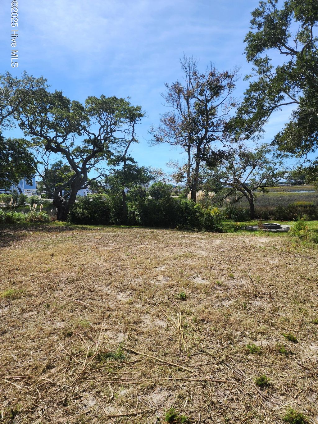 Photo of 1913 Waterway Street SW, Supply, NC 28462 (MLS # 100541532)