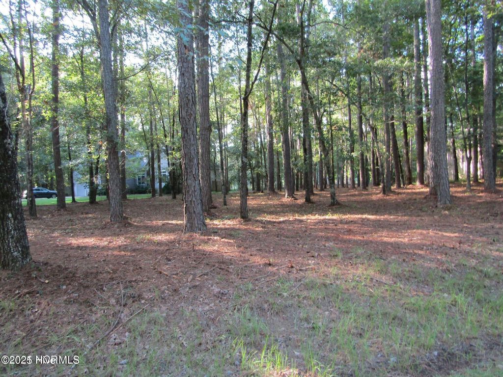 Photo of 197 W Lakeview Lane, Washington, NC 27889 (MLS # 100513045)