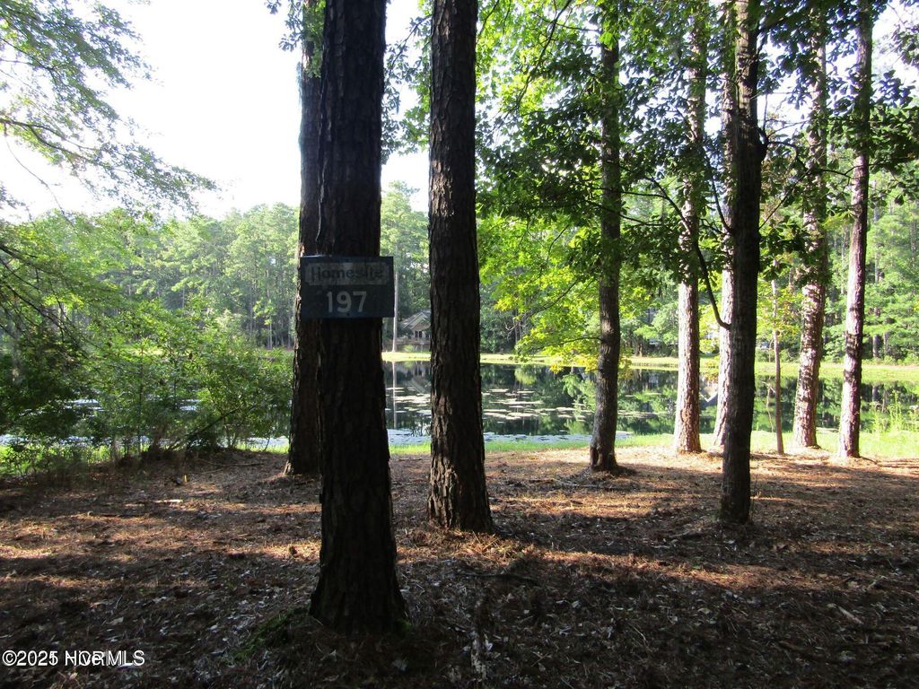 Photo of 197 W Lakeview Lane, Washington, NC 27889 (MLS # 100513045)