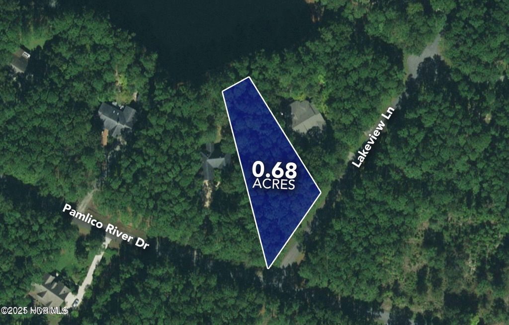 Photo of 197 W Lakeview Lane, Washington, NC 27889 (MLS # 100513045)