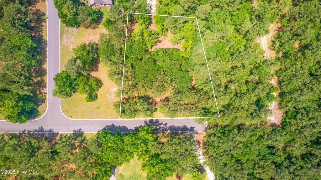 Photo of 104 River Woods Drive, Wallace, NC 28466 (MLS # 100508627)
