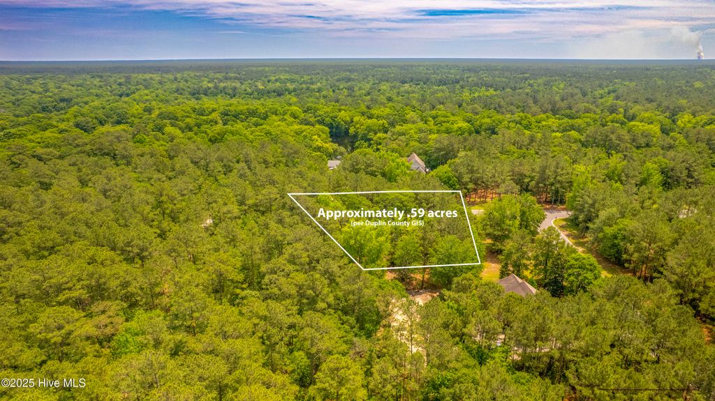 Photo of 104 River Woods Drive, Wallace, NC 28466 (MLS # 100508627)