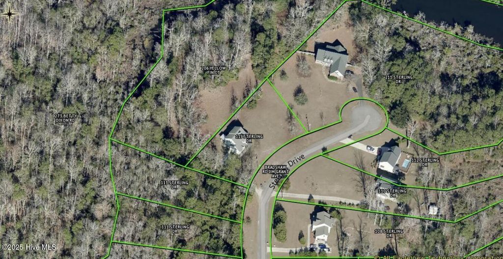 Photo of 113 Sterling Drive, Sneads Ferry, NC 28460 (MLS # 100542980)